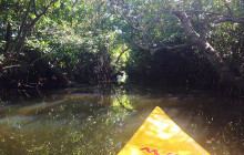 kayak paddling tangalle sri lanka
