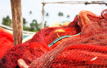 fish net
