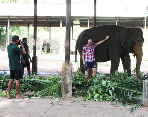 elephant tourist photo