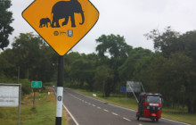 warning elephant sign