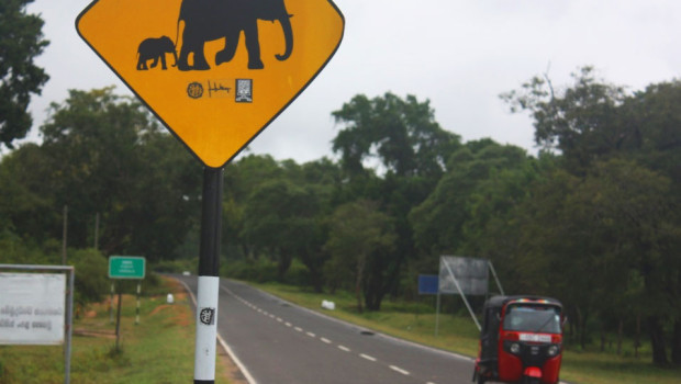 warning elephant sign