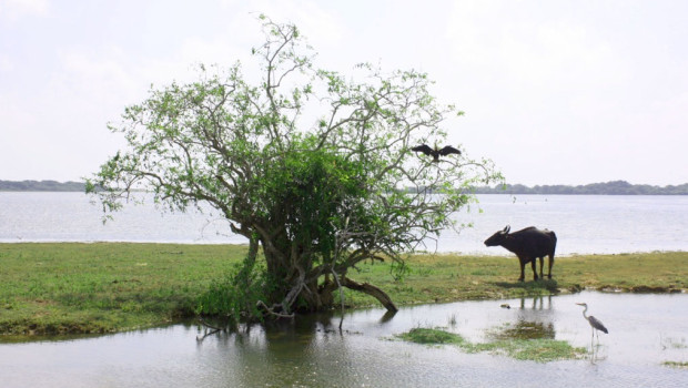 kumana national park