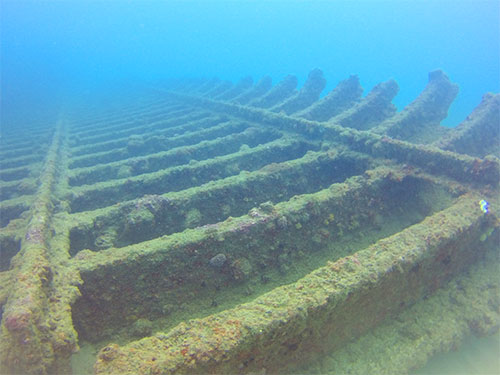 wreck details