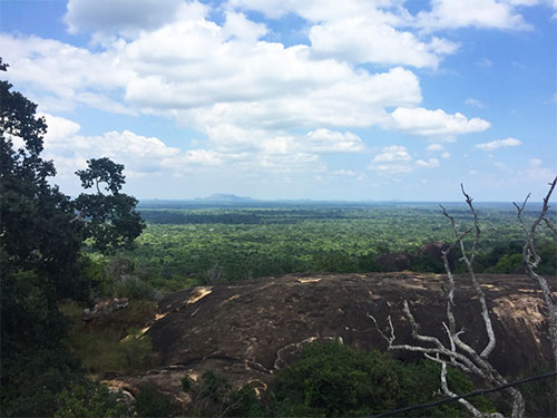yala national park situlpawwa