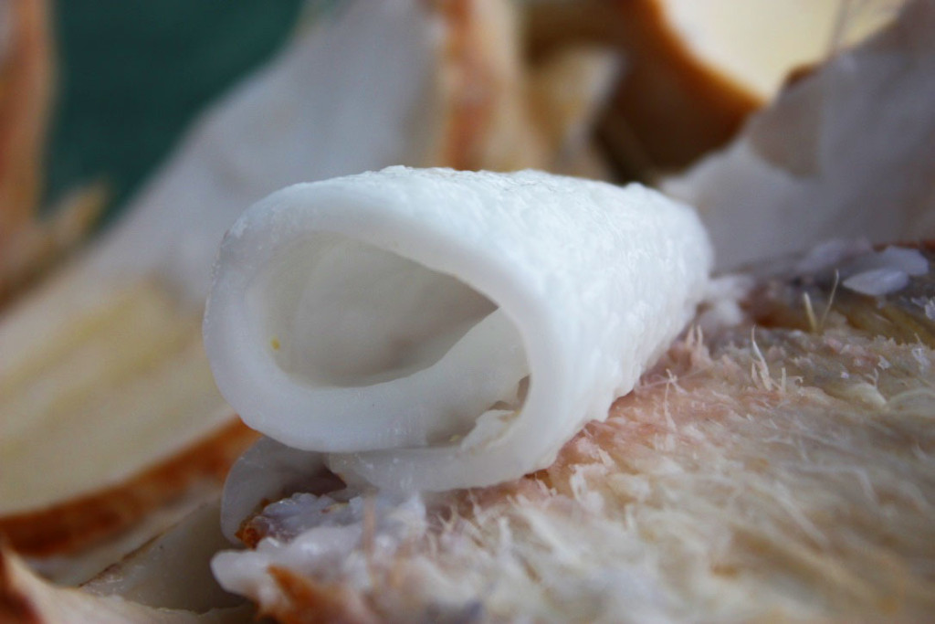 coconut